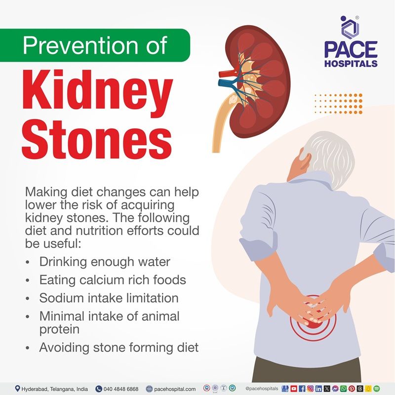 Kidney stones preventive measures how to prevent kidney stones | kidney stone prevention | foods to prevent kidney stones | diet to prevent kidney stones | Visual narrating the preventive measures of Kidney stones