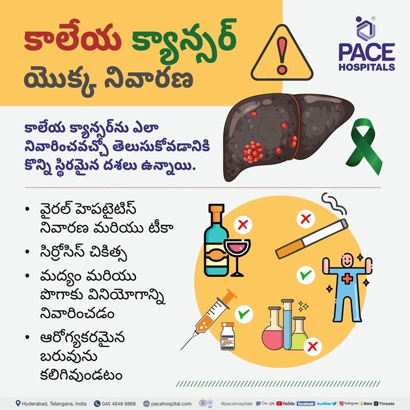 Liver cancer prevention telugu how to prevent liver cancer in telugu language | liver cancer prevention | how can liver cancer be prevented | Liver cancer prevention in telugu language
