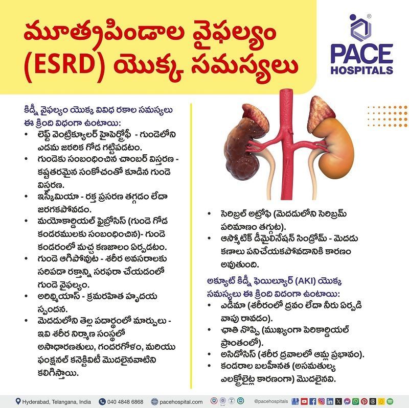 Kidney Failure complications in Telugu Complications of Kidney Failure (ESRD) in Telugu | Problems of Kidney Failure in Telugu |
కిడ్నీ వైఫల్యం యొక్క సమస్యలు | కిడ్నీ ఫెయిల్యూర్ సమస్యలు | kidney failure problems | మూత్రపిండాల వైఫల్యం సమస్యలు | complications of chronic kidney failure |
దీర్ఘకాలిక మూత్రపిండ వైఫల్యం యొక్క సమస్యలు