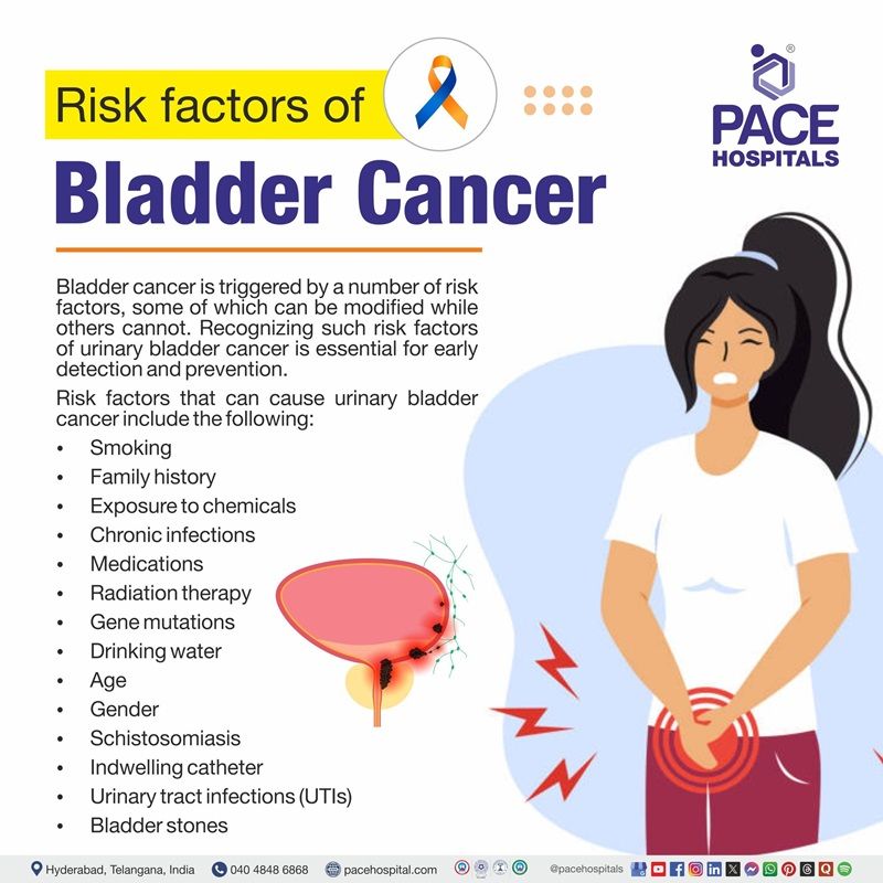 Bladder cancer risk factors bladder cancer risk factors | visual depicting the risk factors of bladder cancer