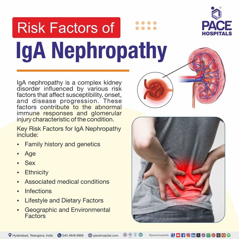 IgA Nephropathy Risk Factors Risk Factors of igA nephropathy | igA nephropathy risk factors | image showing the risk factors of igA Nephropathy