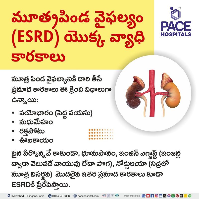 Kidney failure Risk factors in Telugu Risk factors of Kidney failure in Telugu | కిడ్నీ వైఫల్యానికి ప్రమాద కారకాలు | కిడ్నీ వైఫల్యం ప్రమాద కారకాలు | risk factors for chronic kidney failure in Telugu | దీర్ఘకాలిక మూత్రపిండ వైఫల్యానికి ప్రమాద కారకాలు
