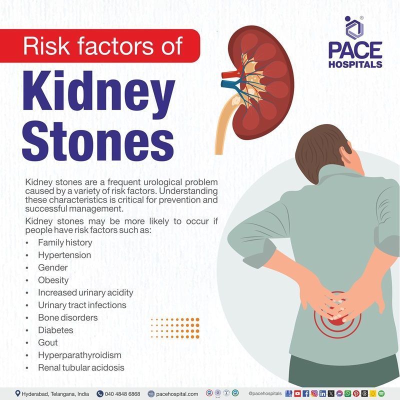 Kidney stones risk factors risk factors for kidney stones | risk of kidney stones | Kidney stones risk factors | Visual revealing the risk factors of Kidney stones
