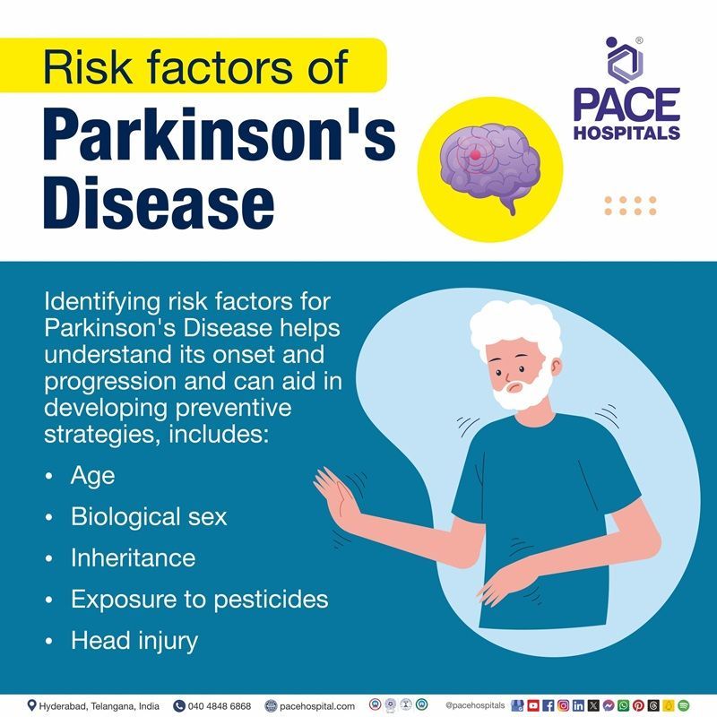Risk factors of Parkinson's disease Risk factors in Parkinson's disease | Risk factors of Parkinson's disease | What are the risk factors of Parkinson's disease | Visual revealing the risk factors of Parkinson's disease