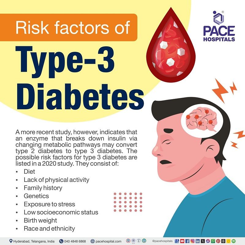 Type 3 diabetes risk factors risk factors of type 3 diabetes | Type 3 diabetes risk factors | What are the risk factors of type 3 diabetes | Visual showing the risk factors of typem3 diabetes