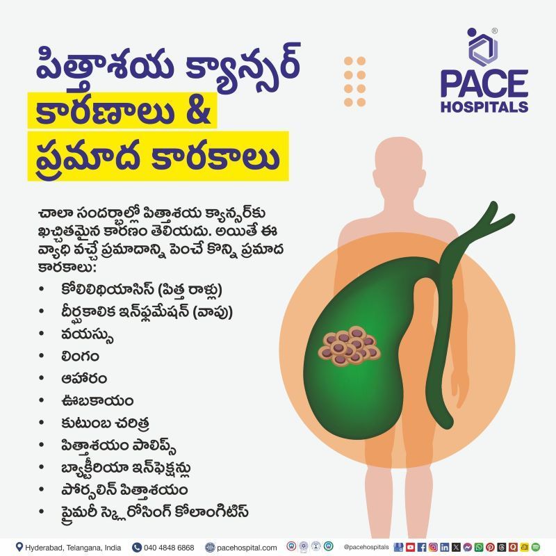 పిత్తాశయ క్యాన్సర్ కారణాలు & ప్రమాద కారకాలు | Gallbladder Cancer Causes and Risk Factors in Telugu what causes gallbladder cancer in Telugu | పిత్తాశయ క్యాన్సర్ కారణాలు & ప్రమాద కారకాలు | Risk factors for gallbladder cancer in Telugu | Gallbladder cancer causes in Telugu