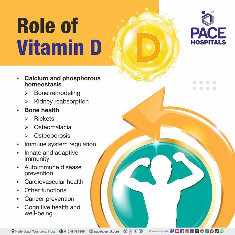 Vitamin D role in human body role of vitamin d | what is the role of vitamin d | role of vitamin d in human body | vitamin d role | role of vitamin d in calcium homeostasis