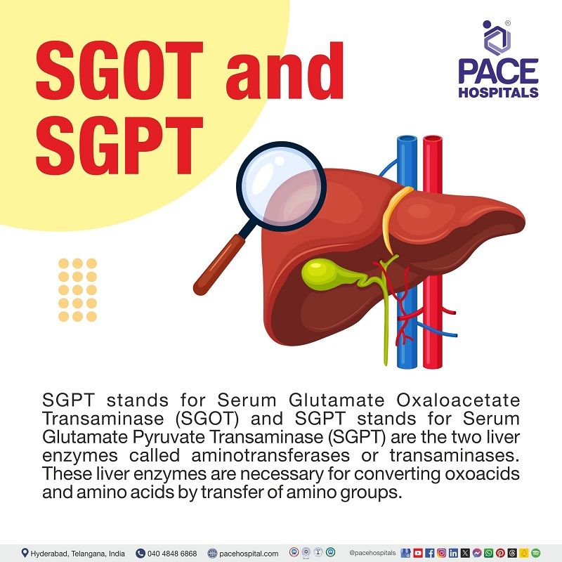 SGOT & SGPT - All you need to know sgot and sgpt test | sgot and sgpt high | what is sgot and sgpt, Visual depicting full form and the meaning of SGOT AND SGPT