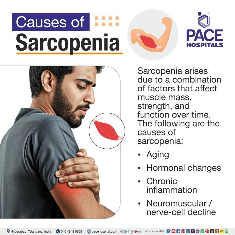 Sarcopenia Causes | Causes of Sarcopenia