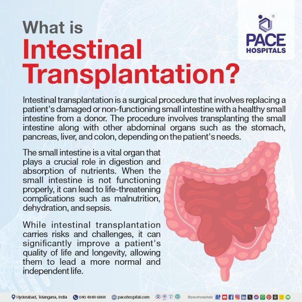 Intestine transplant definition What is intestine transplant | artificial intestine transplant in Hyderabad, India | pediatric intestinal transplant | small intestine transplant success rate in India | intestinal transplant survival rates | intestinal transplant waiting list