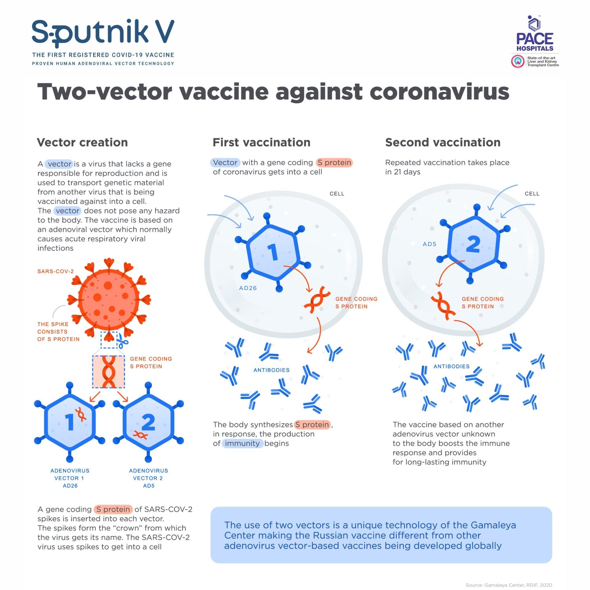 Sputnik V Vaccine based on two different human adenoviruses vector vaccine against coronavirus | Gam-COVID-Vac Sputnik V Vaccine based on two different human adenoviruses vector vaccine against coronavirus | Gam-COVID-Vac