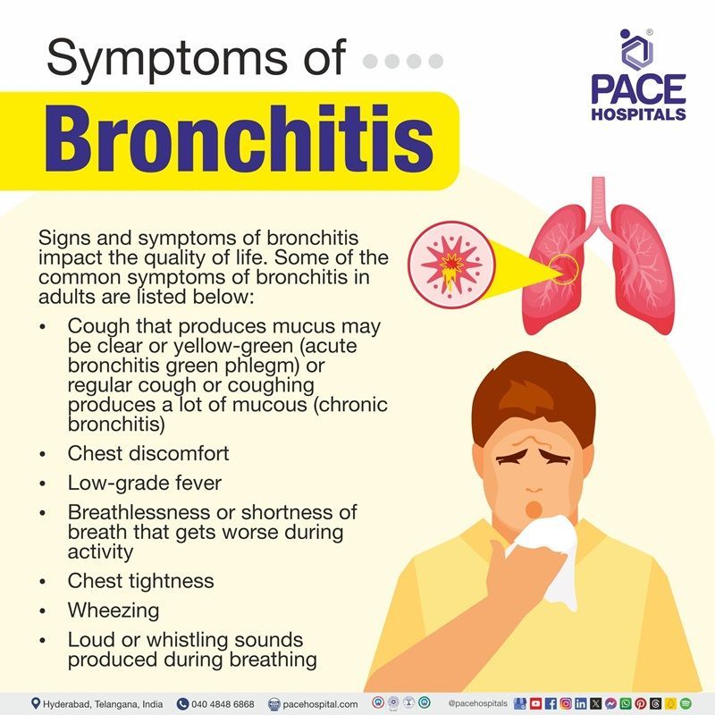 Symptoms of Bronchitis Acute Bronchitis Symptoms | chronic Bronchitis Symptoms | Symptoms of Bronchitis in adults | Visual depicting the symptoms of Bronchitis