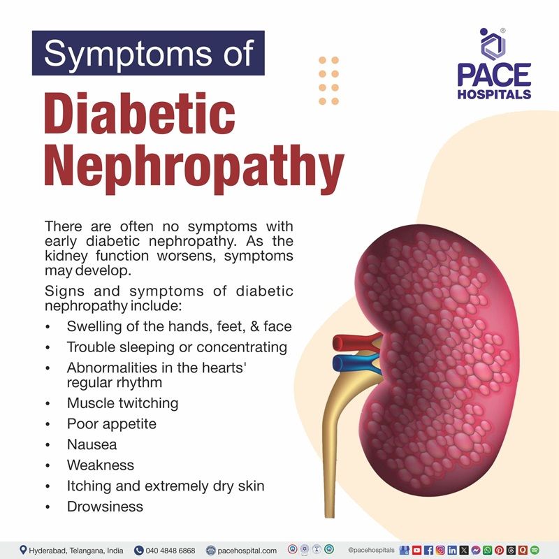 Diabetic nephropathy symptoms diabetic nephropathy symptoms | diabetic nephropathy signs and symptoms | what is diabetic nephropathy symptoms | Visual depicting the symptoms of Diabetic nephropathy