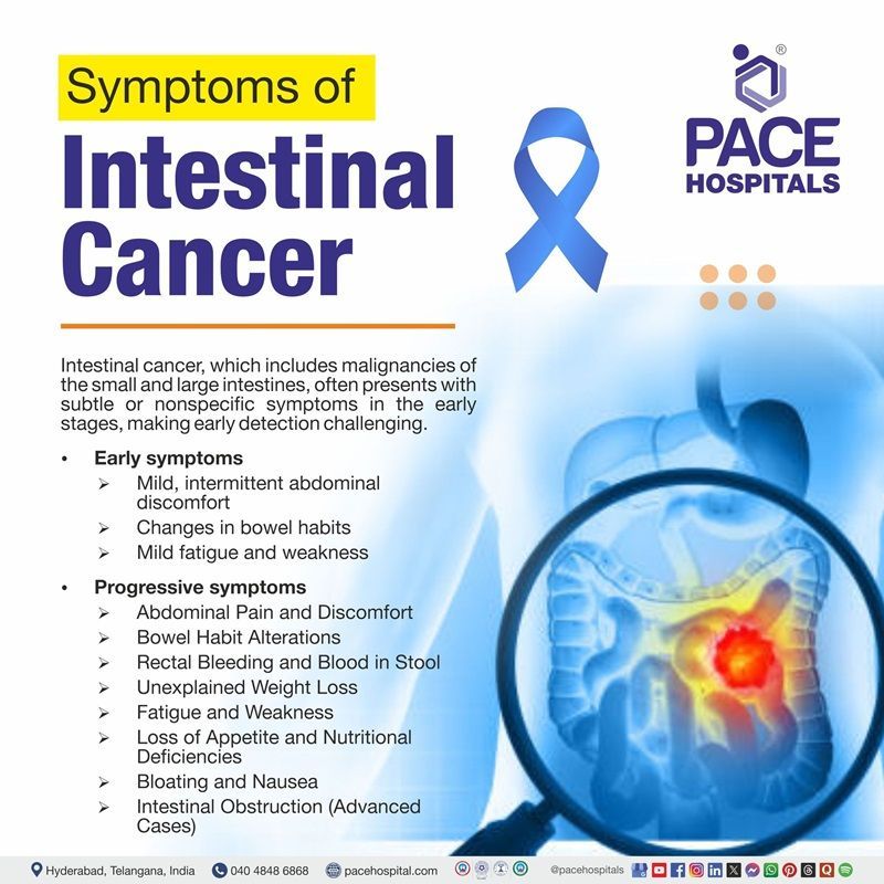 Intestinal Cancer Symptoms Intestinal Cancer Symptoms | visual showing the small and large intestine cancer symptoms