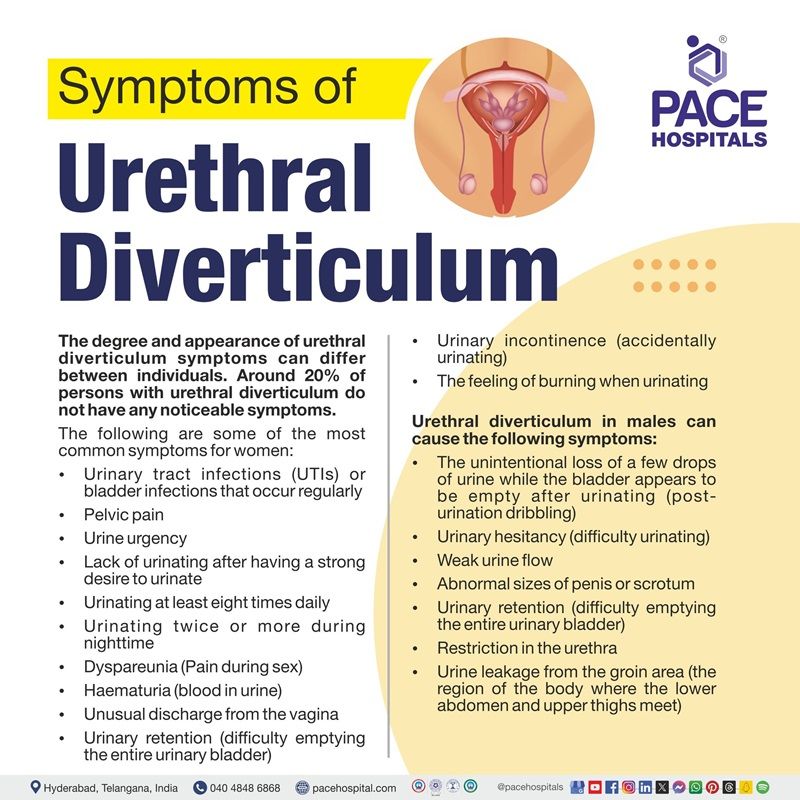 Urethral diverticulum symptoms urethral diverticulum symptoms | symptoms of urethral diverticulum | What are the symptoms Urethral diverticulum | Visual outlining the symptoms of Urethral diverticulum