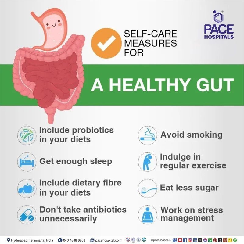 10 Tips on How to Improve Gut Health | Improve and Reset Gut Health | simple ways to improve gut health