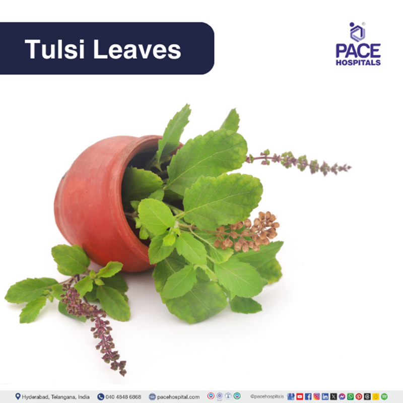 Tulsi leaves - home remedies for sore throat | sore throat remedies | sore throat treatment at home | best remedy for sore throat | how to cure sore throat at home