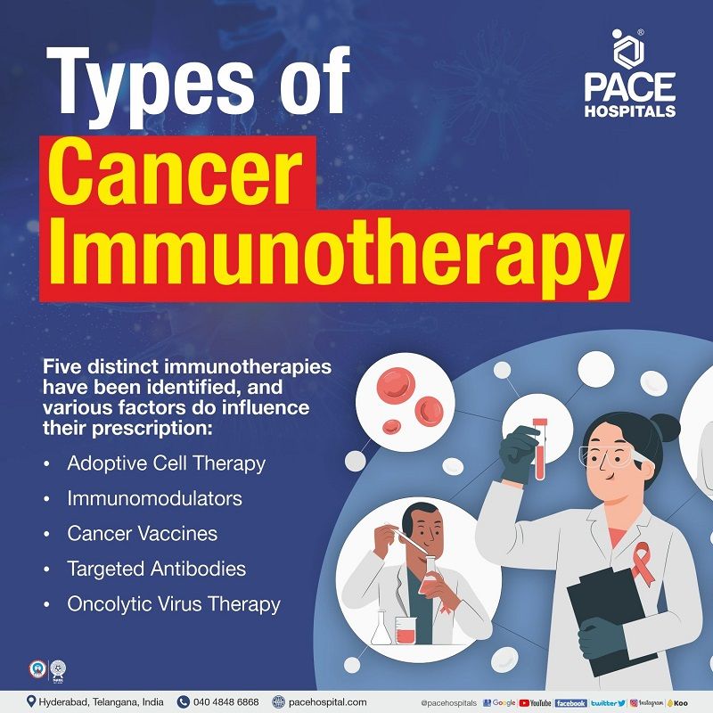 Types of immunotherapies for cancer | Cancer Immunotherapy types