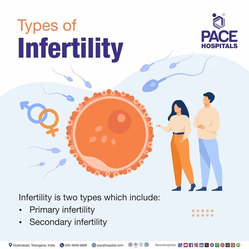 Types of Infertility types of Infertility | image showing the different infertility types