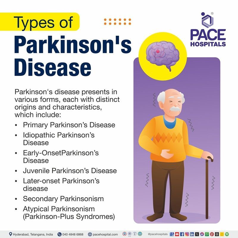 Parkinson's Disease types Types Of Parkinson's Disease | types of parkinson's | different types of parkinson's disease | what are the two types of parkinson's disease | Visual depicting the different types of parkinson's disease