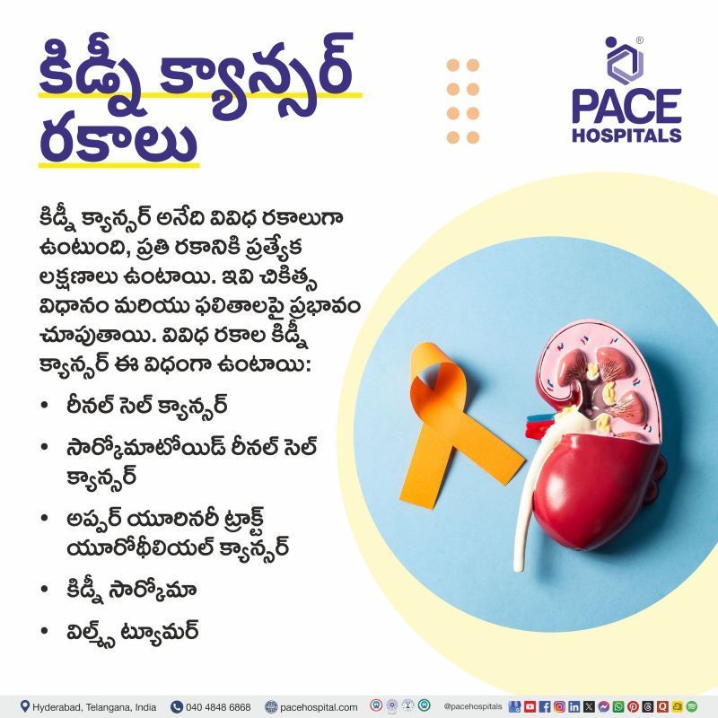 కిడ్నీ క్యాన్సర్ రకాలు | Types of Kidney Cancer in Telugu Types of Kidney Cancer in Telugu | కిడ్నీ క్యాన్సర్ రకాలు | Different types of kidney cancer in Telugu | Rare types of kidney cancer in Telugu