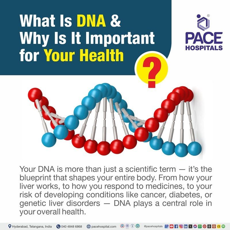 What is DNA? what is dna | dna simple guide | dna explained | genes and dna | how dna affects health