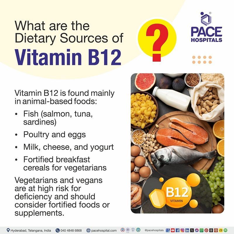 Dietary sources of Vitamin B12 What are the Dietary Sources of Vitamin B12?