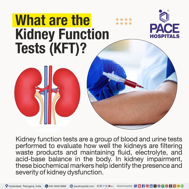 What are Kidney Function Tests? What is KFT? | What is RFT? | What is Kidney function Test | RFT Full form