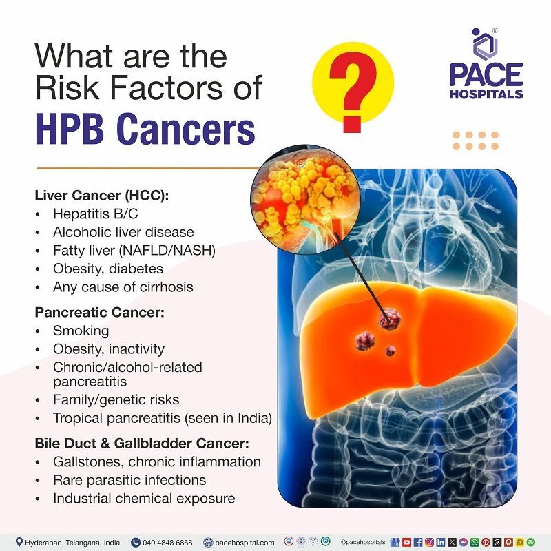 Risk factors of HPB cancers What are the risk factors of HPB Cancers