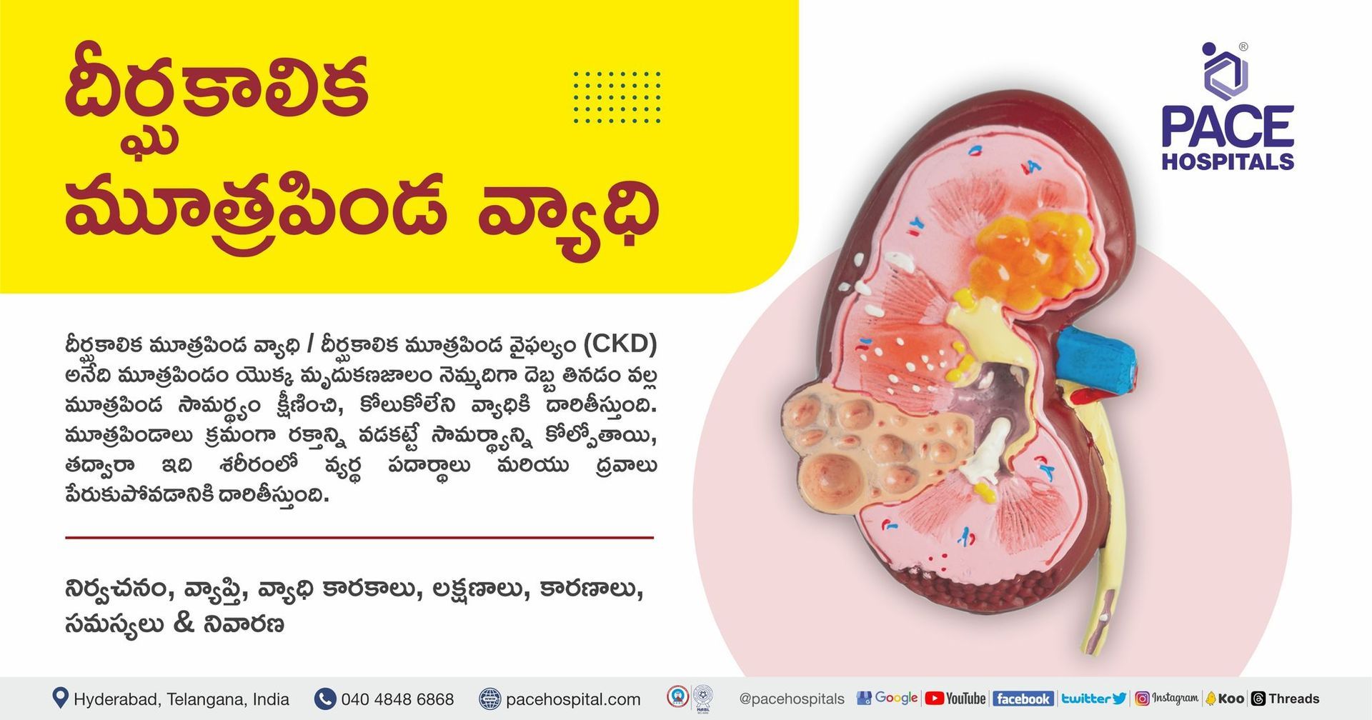 దీర్ఘకాలిక మూత్రపిండ వ్యాధి: లక్షణాలు, కారణాలు, సమస్యలు, రోగ నిర్ధారణ, చికిత్స & నివారణ