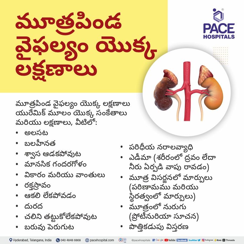 kidney failure symptoms telugu kidney failure symptoms in telugu | kidney failure telugu | symptoms of kidney failure in telugu