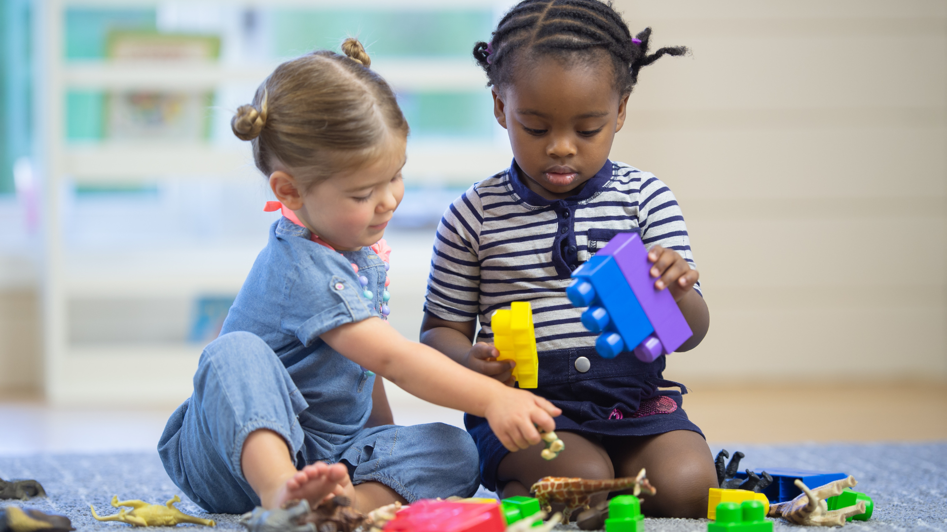 Toddler Daycare