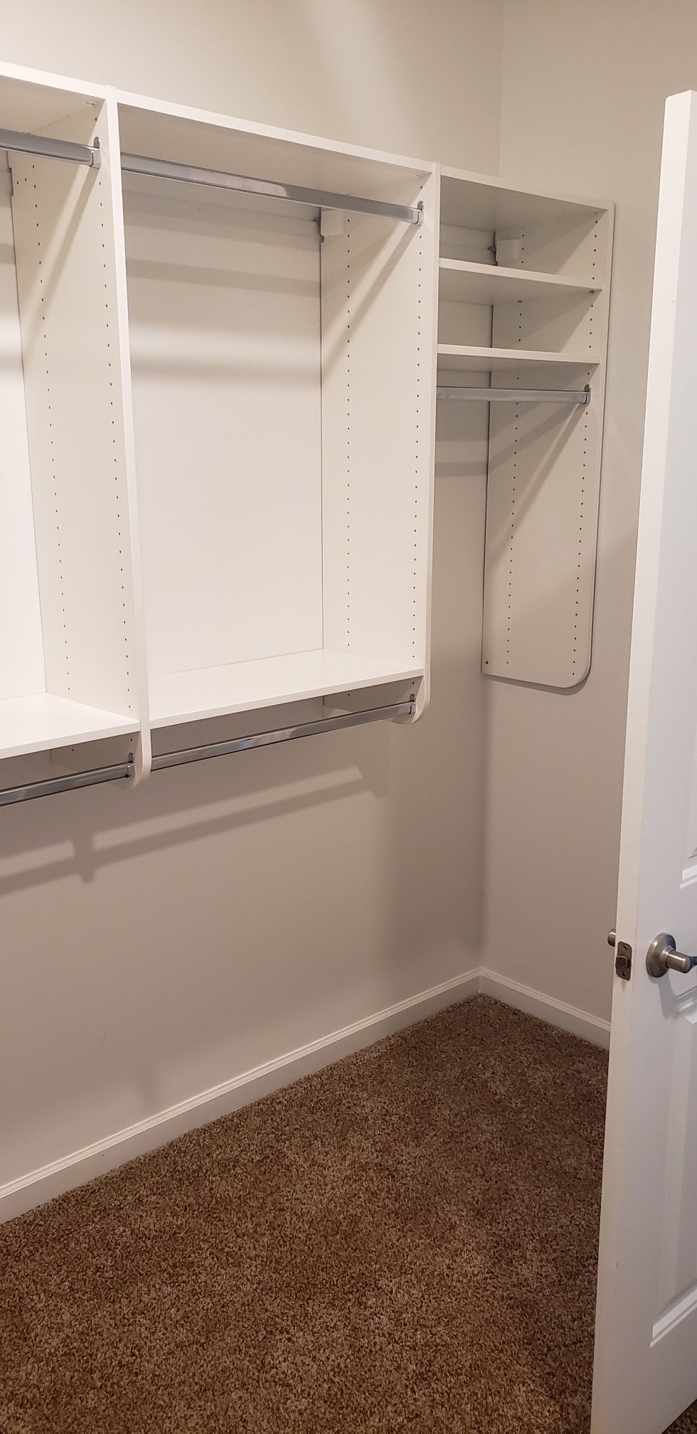 Empty white closet with carpet flooring.