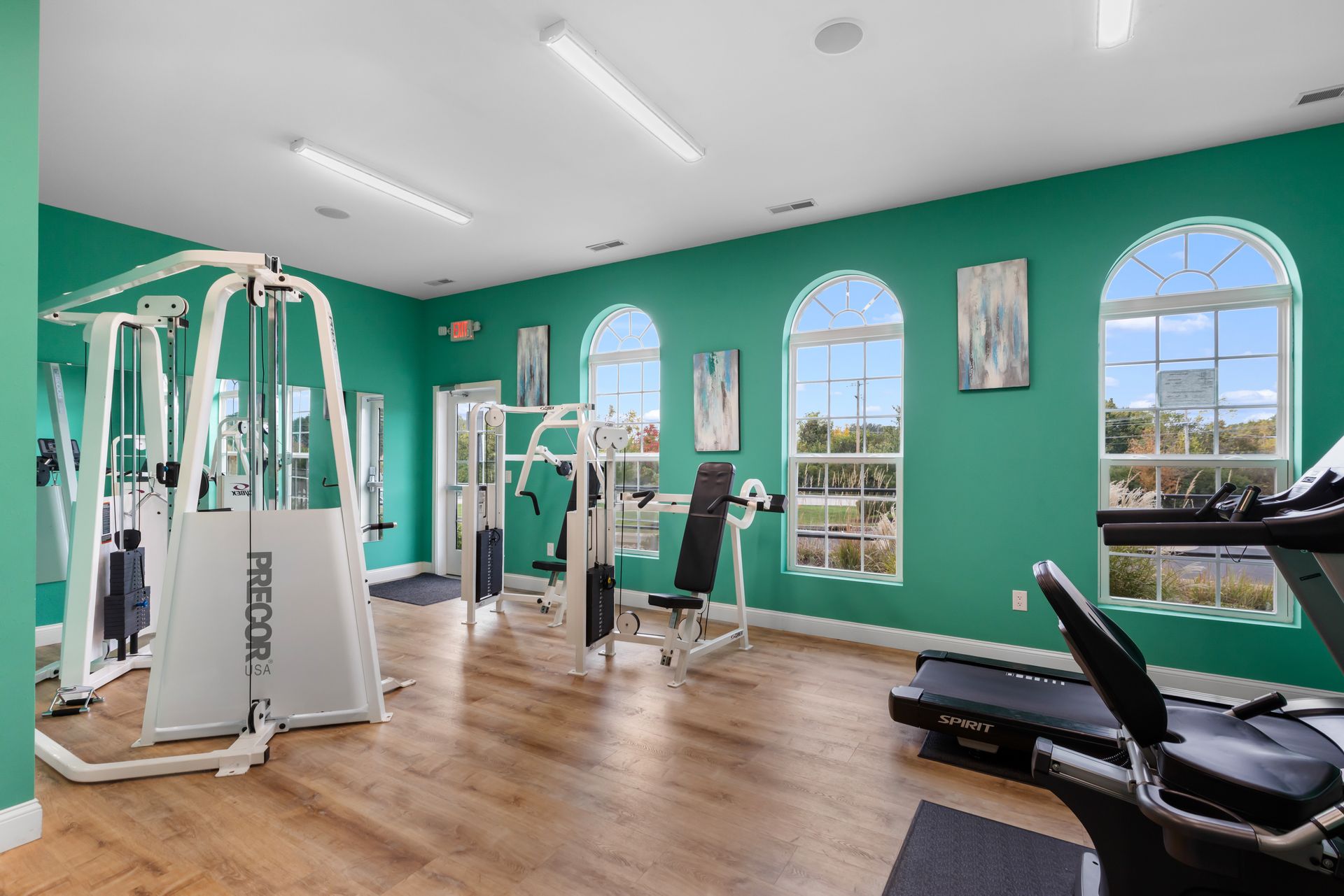 Bright gym interior with weight machines, treadmills, and a green wall with arched windows