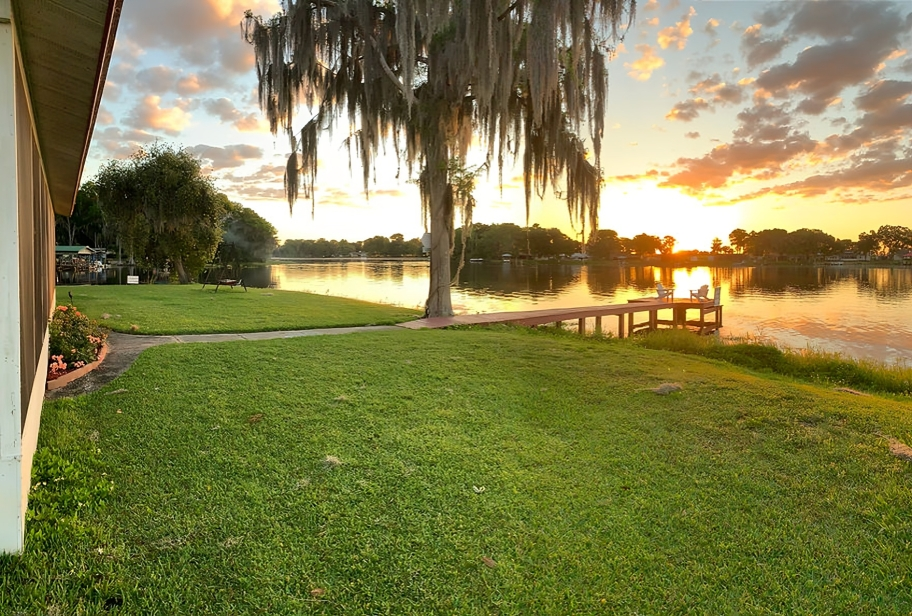 A sunset over a lake with spanish moss hanging from a tree
