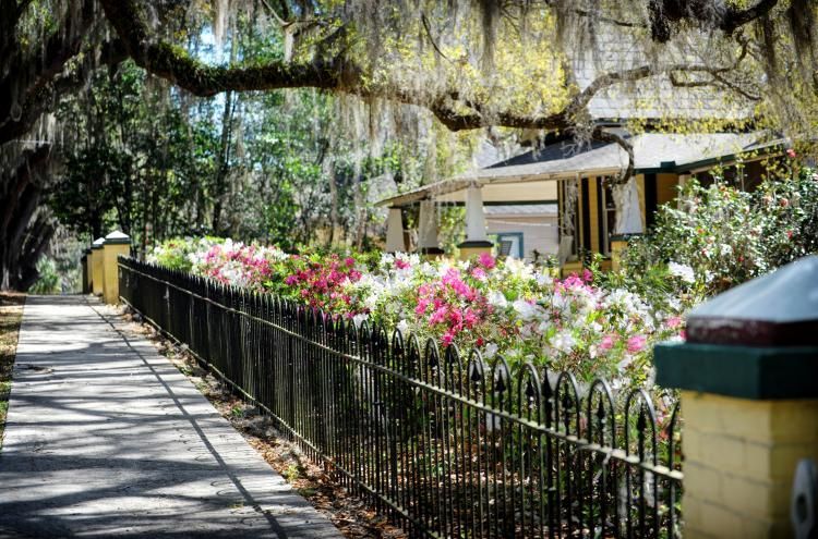 A wrought iron fence surrounds a sidewalk lined with flowers and trees - Sunshine Lodge