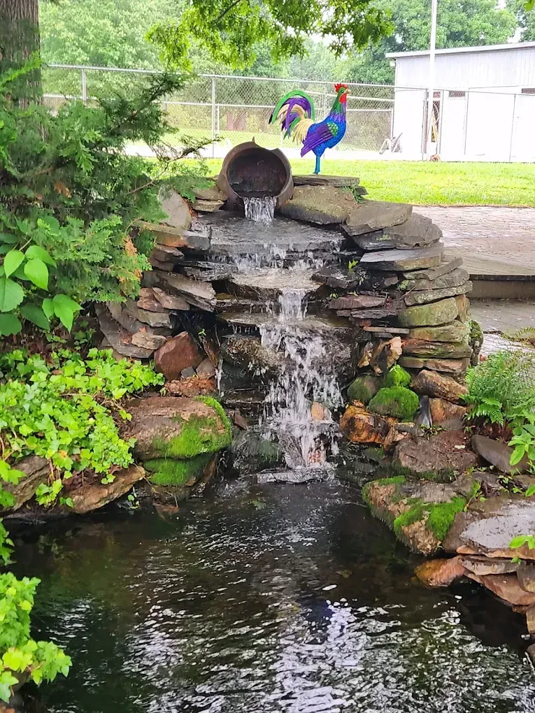 Garden waterfall with a black cat and colorful rooster statue by a pond