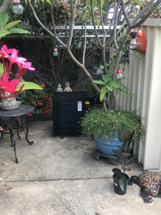 A Turtle is Sitting Next to a Potted Plant in a Garden — Newcastle Solar Pool Heating Systems In Cessnock, NSW
