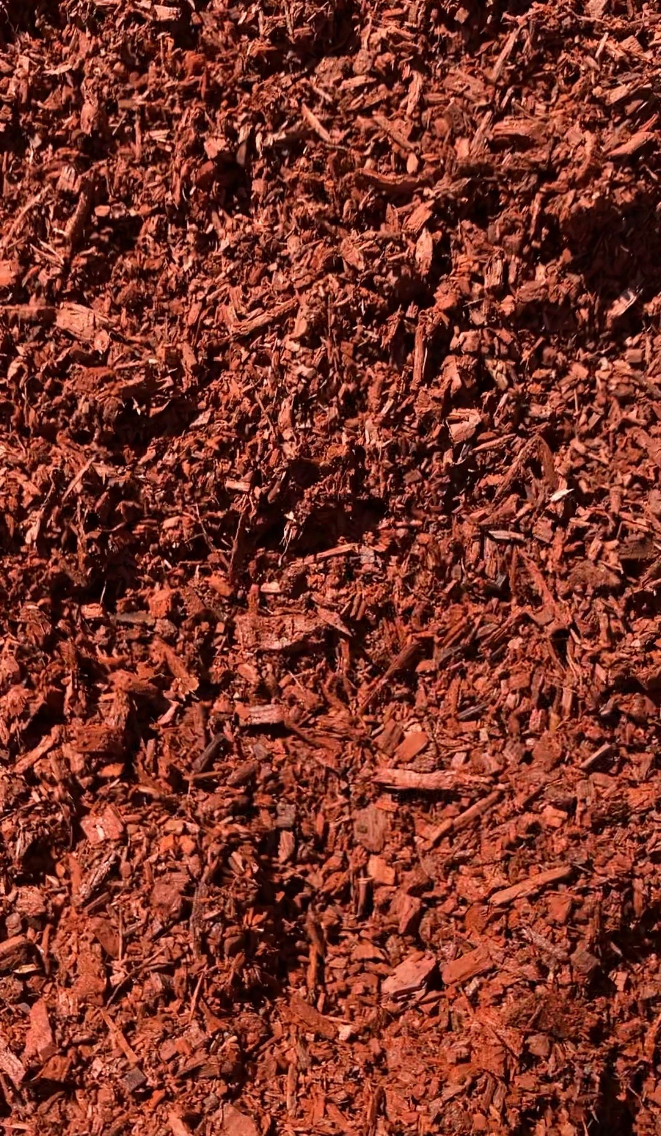Close-up of reddish-brown wood chips or mulch texture