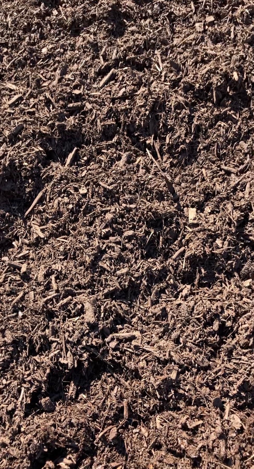 Close-up of dark brown soil or mulch with rough, uneven texture.