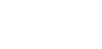 logo-image
