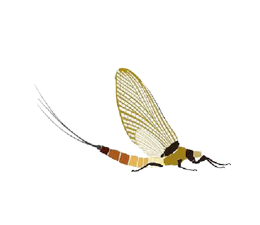 Reading's Fly Shop Logo