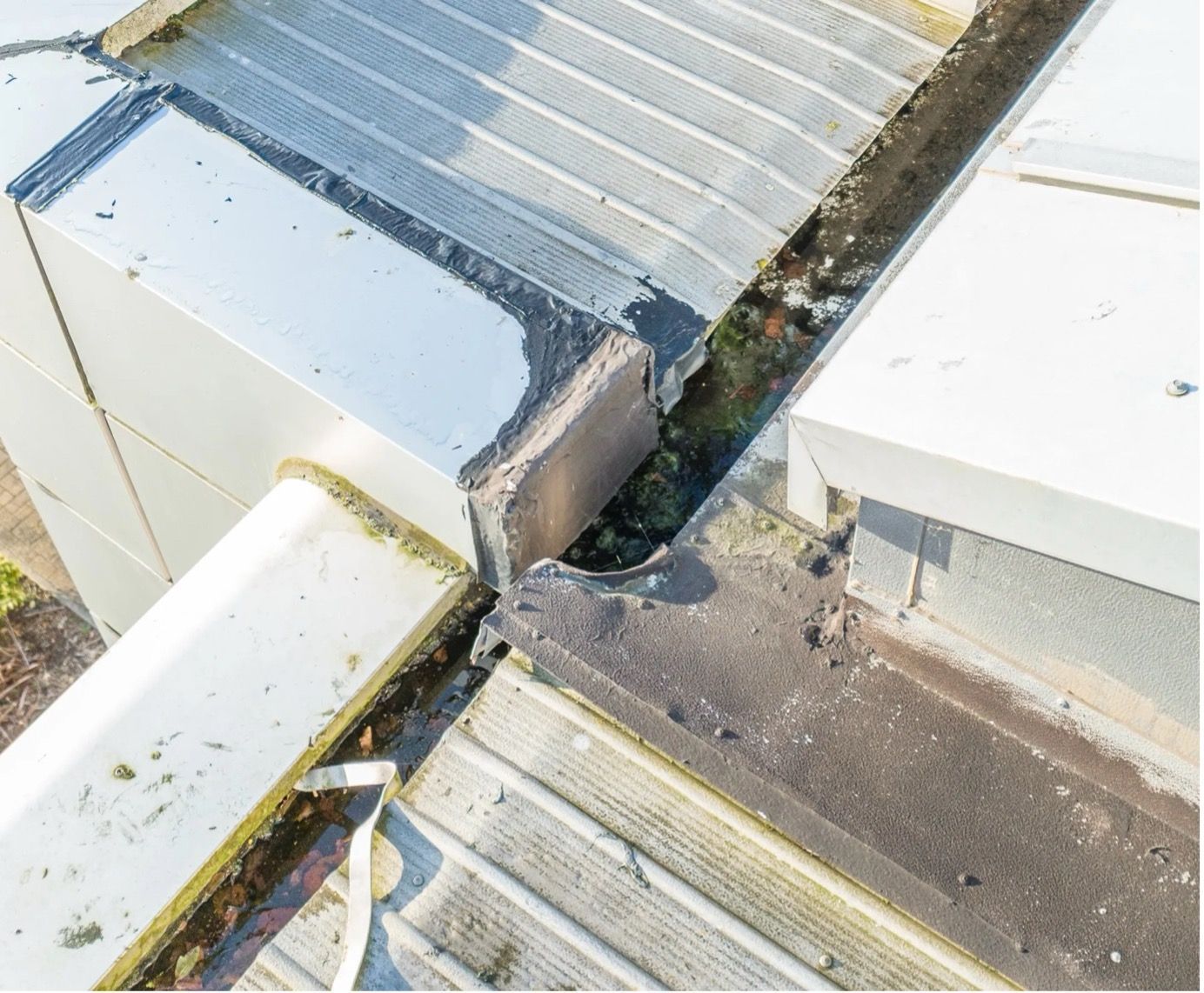 roof viewin