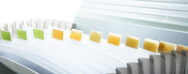 File Folder With Color Tags — Minden, LA — McInnis Insurance Agency, Inc.
