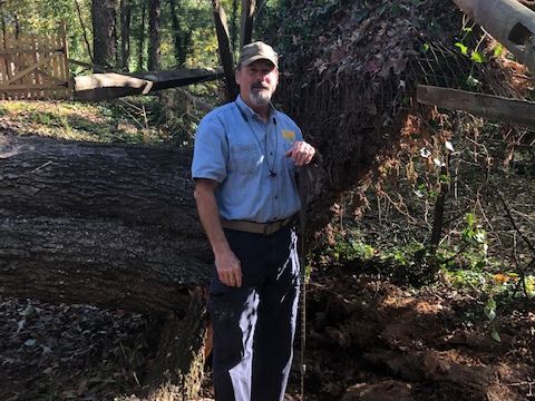 N GA Certified Arborist Certified Arborist