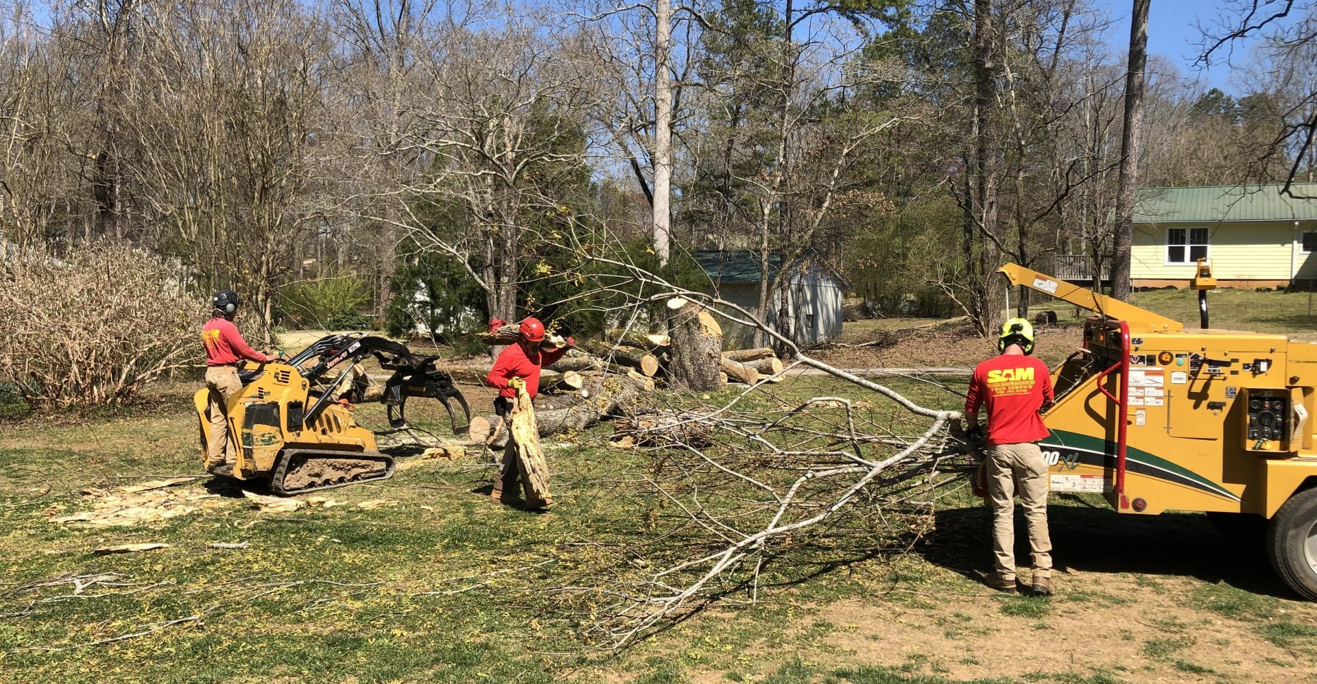 Benefits of Hiring an Experienced Tree Service Benefits of Hiring an Experienced Tree Service