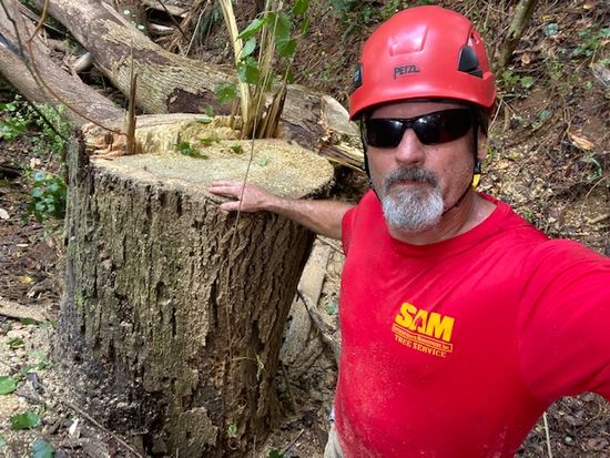 Tim Costley, Certified Arborist Tim Costley, Certified Arborist