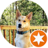 Reviews Reviews