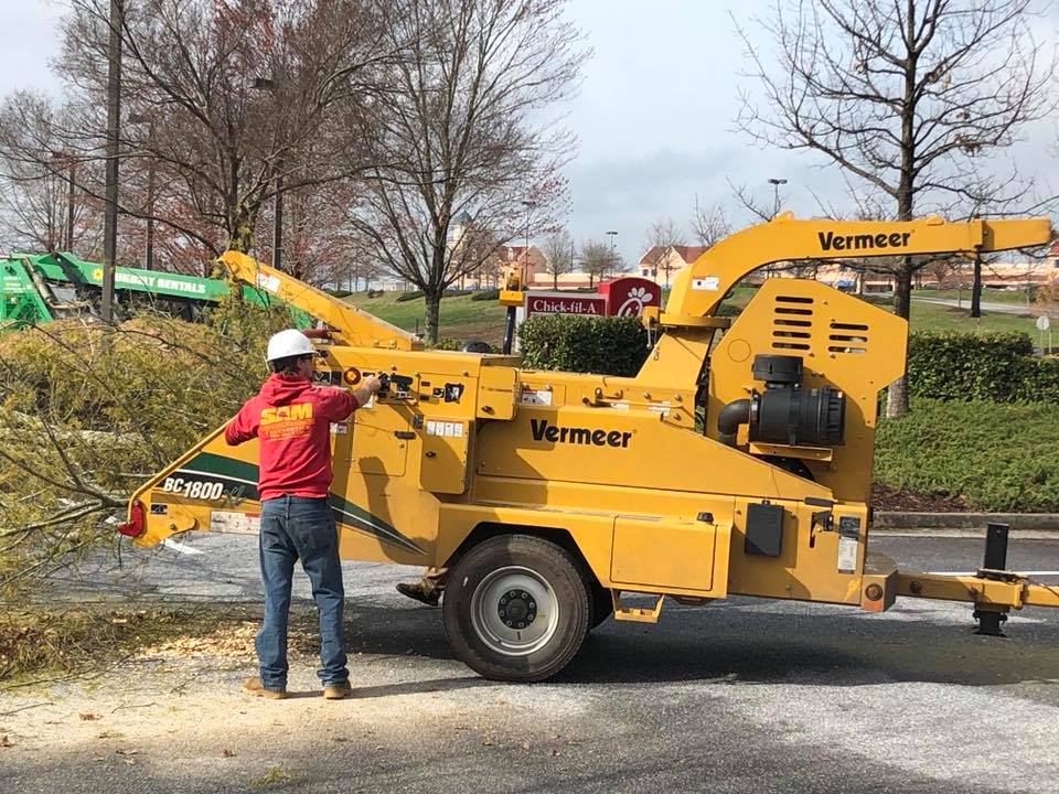 Hiring a Tree Service Hiring a Tree Service