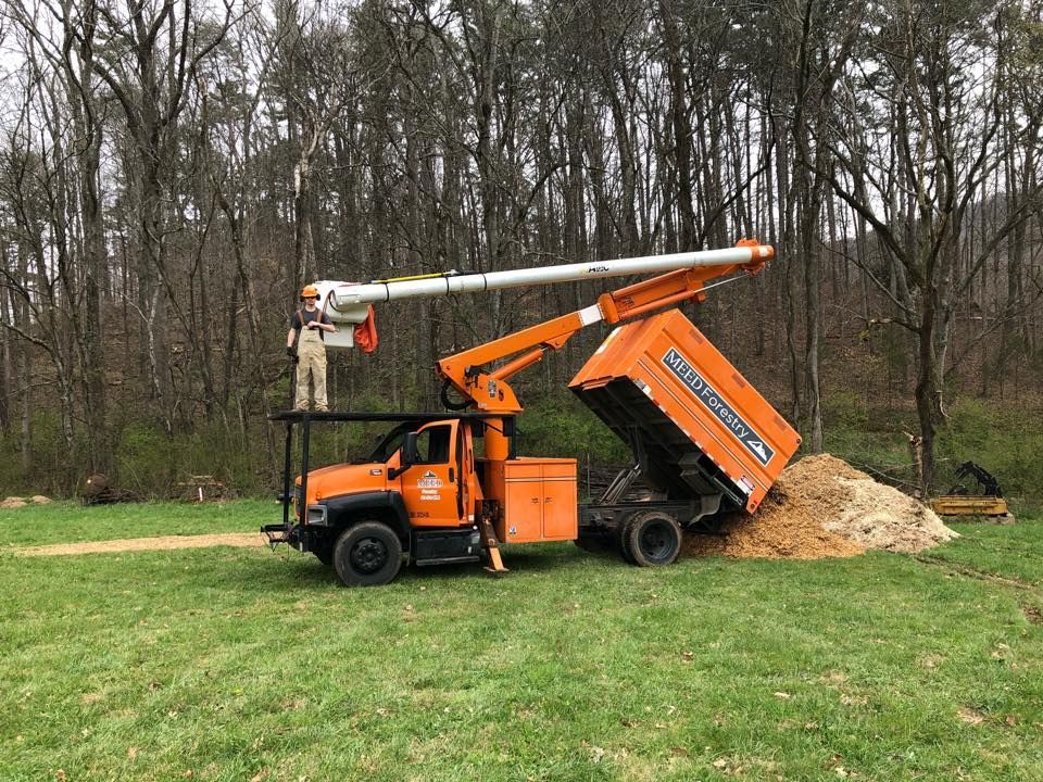 A worker stands in the bucket of an orange utility truck, which is dumping a pile of dirt in a grassy area near woods.